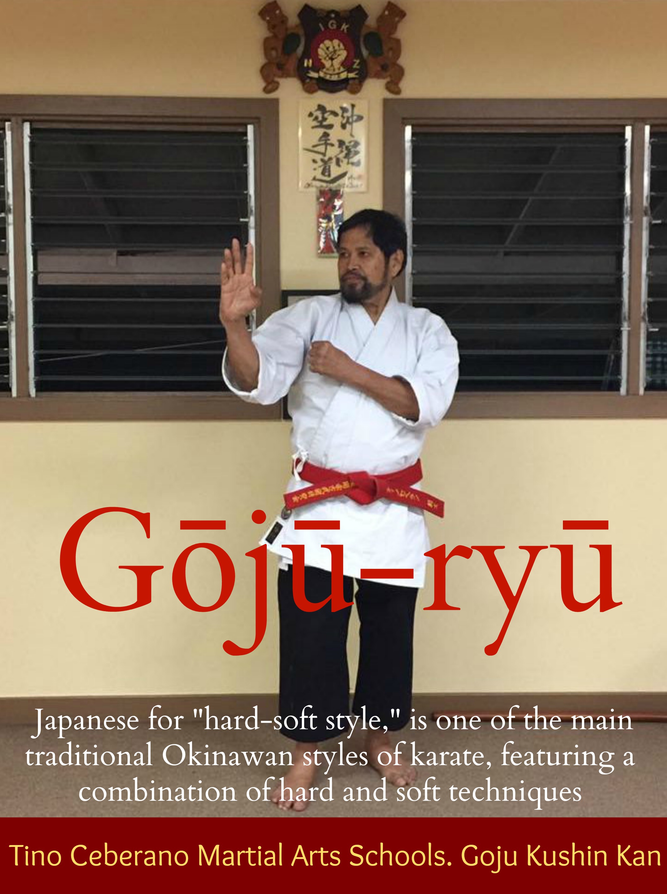 The Spirit of Budo: Grapple with Japanese Martial Arts and Philosophy, Blog
